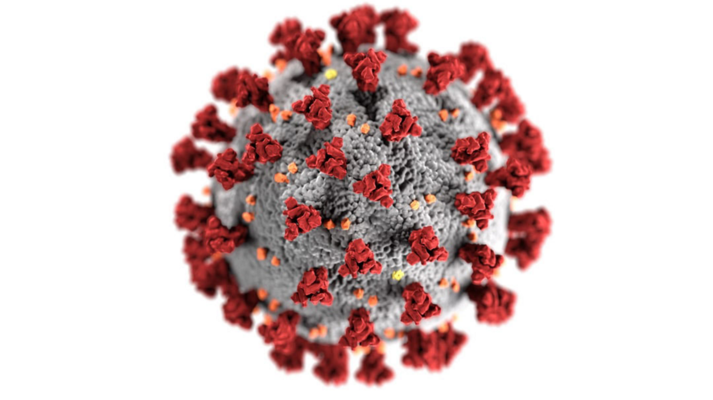 A microscopic image of the COVID-19 virus, it’s a grey circular shape with red tufts and smaller orange balls.